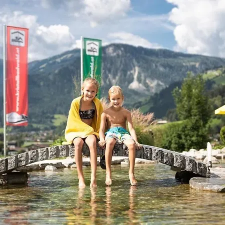 Schoeneben Traumhuette Wald im Pinzgau