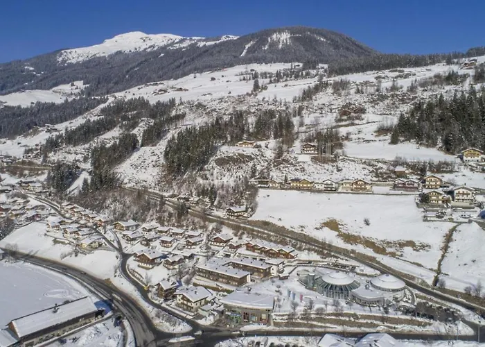 Schoeneben Traumhuette Hébergement de vacances Wald im Pinzgau
